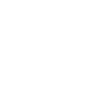 ruminus